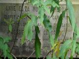 image of grave number 163860